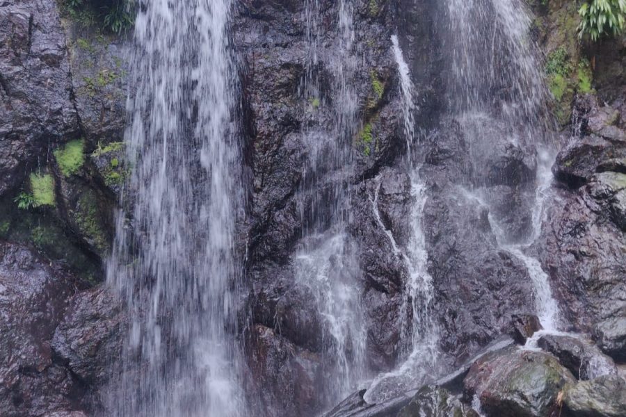 Visit Tobago Argyle Waterfalls Tours