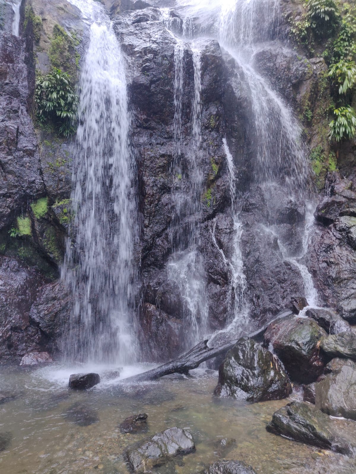 visit-tobago-argyle-waterfalls-tours-tobago-taxi-tours